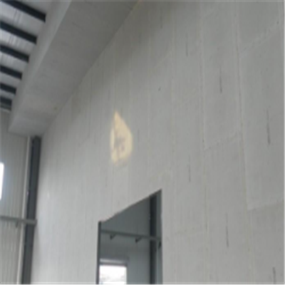 台安宁波ALC板|EPS加气板隔墙与混凝土整浇联接的实验研讨